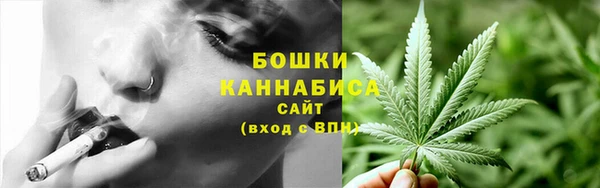2c-b Верхний Тагил