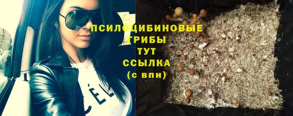 2c-b Верхний Тагил