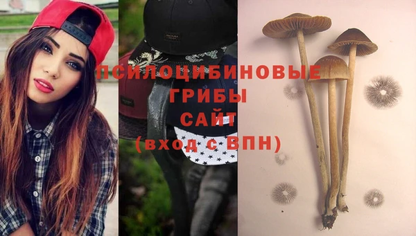 2c-b Верхний Тагил