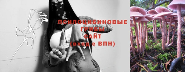крисы Верхнеуральск